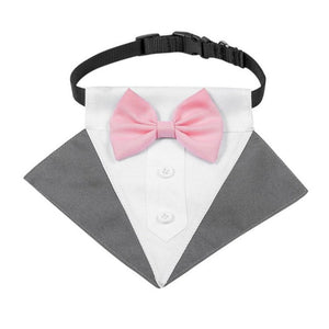 Gray Lapel Tuxedo Bow Tie Buckle Dog collar has a pink bow tie