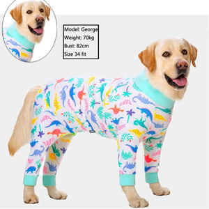 These bright Dinosaurs Onesie PJs fit medium- and large-breed dogs like Labradors.
