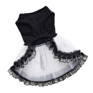 Bling Black & White Lace Dog Dress