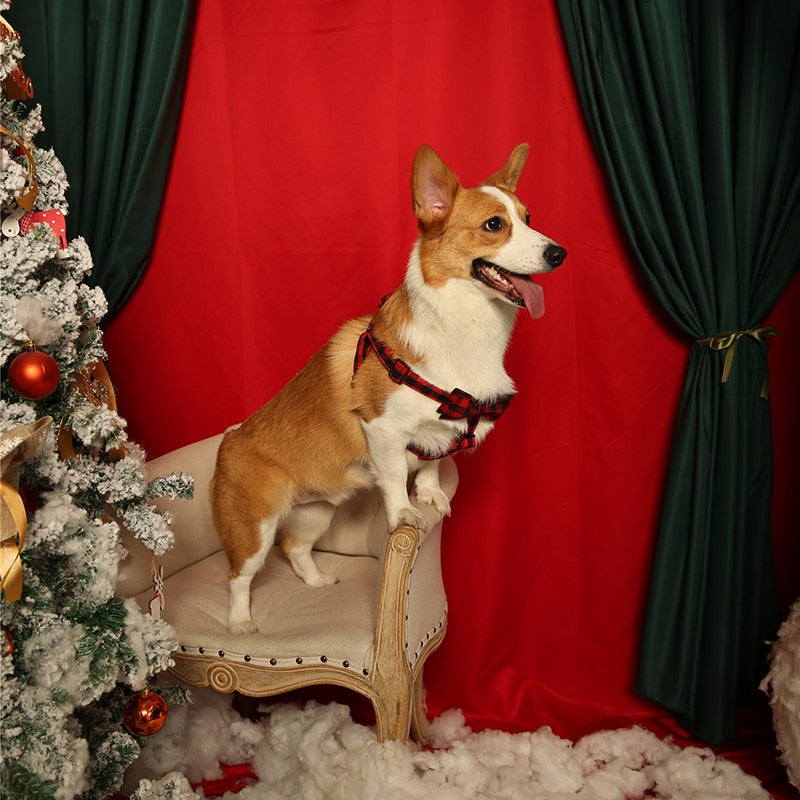This Green Plaid 3-Piece Harness matching set includes a Dog Harness, Bow Tie  & Leash.