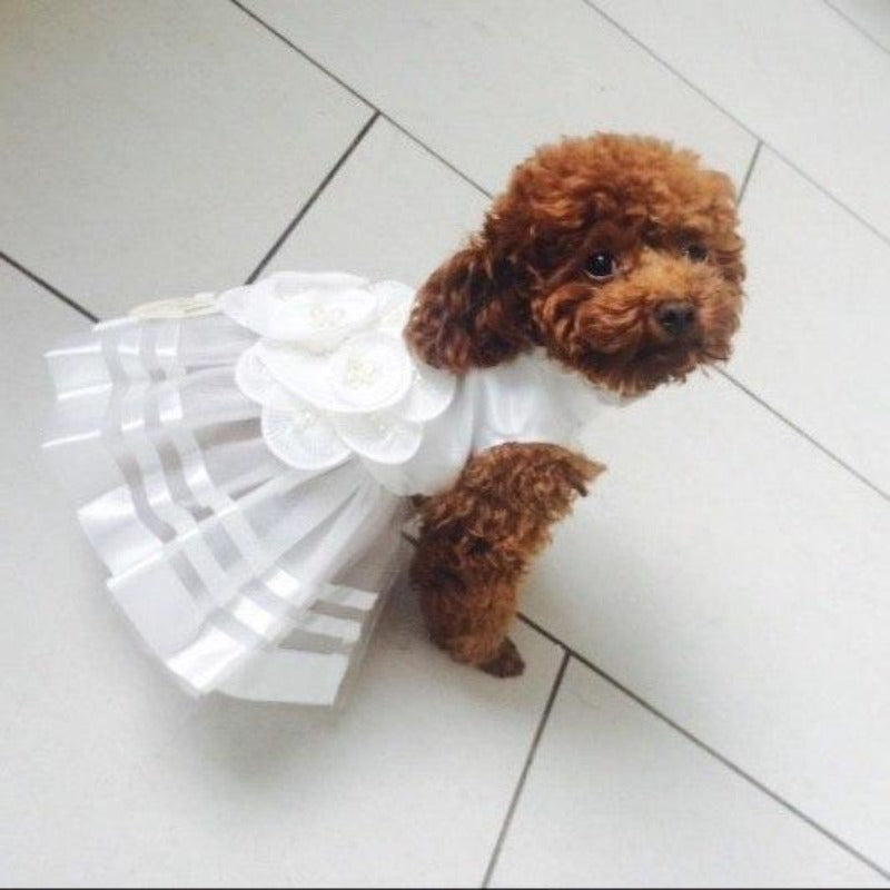 Dogs Wedding Dress Pet Dog Formal Dress Dog Summer Skirt Cosplay Photo Props Costume Size S White