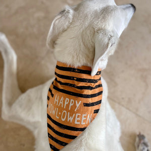 Large Happy Howl-o-Ween Reversible dog bandana pictured on a Greyhound.