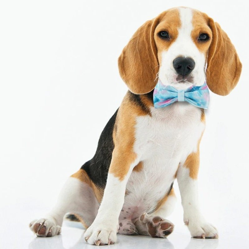 Our luxurious Tie-Dye Bow Tie Dog Collar & Leash Sets are best sellers.