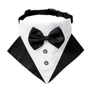 Black and White Tuxedo Bow Tie Buckle Dog Collar