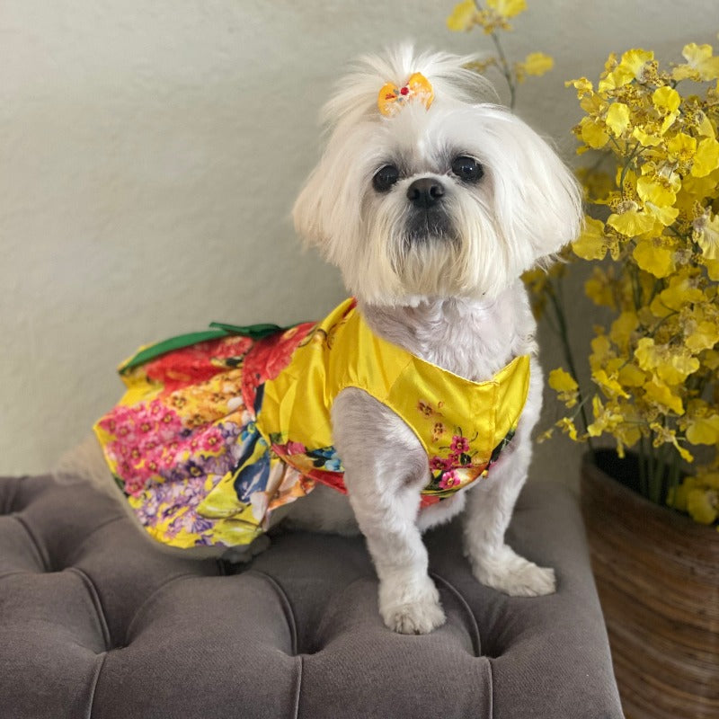 Your small dog will look stunning in this elegant Yellow Floral Dog Party Dress, made of silk-like satin fabric that’s breathable and comfortable to wear. 