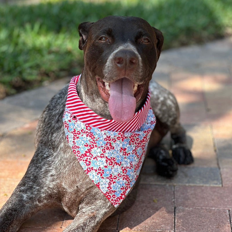 Handmade in the USA by Chloe & Max, this Red & Light Blue Flowers Bandana features red, white and blue flowers, with red-and-white striped trim and backing. 
