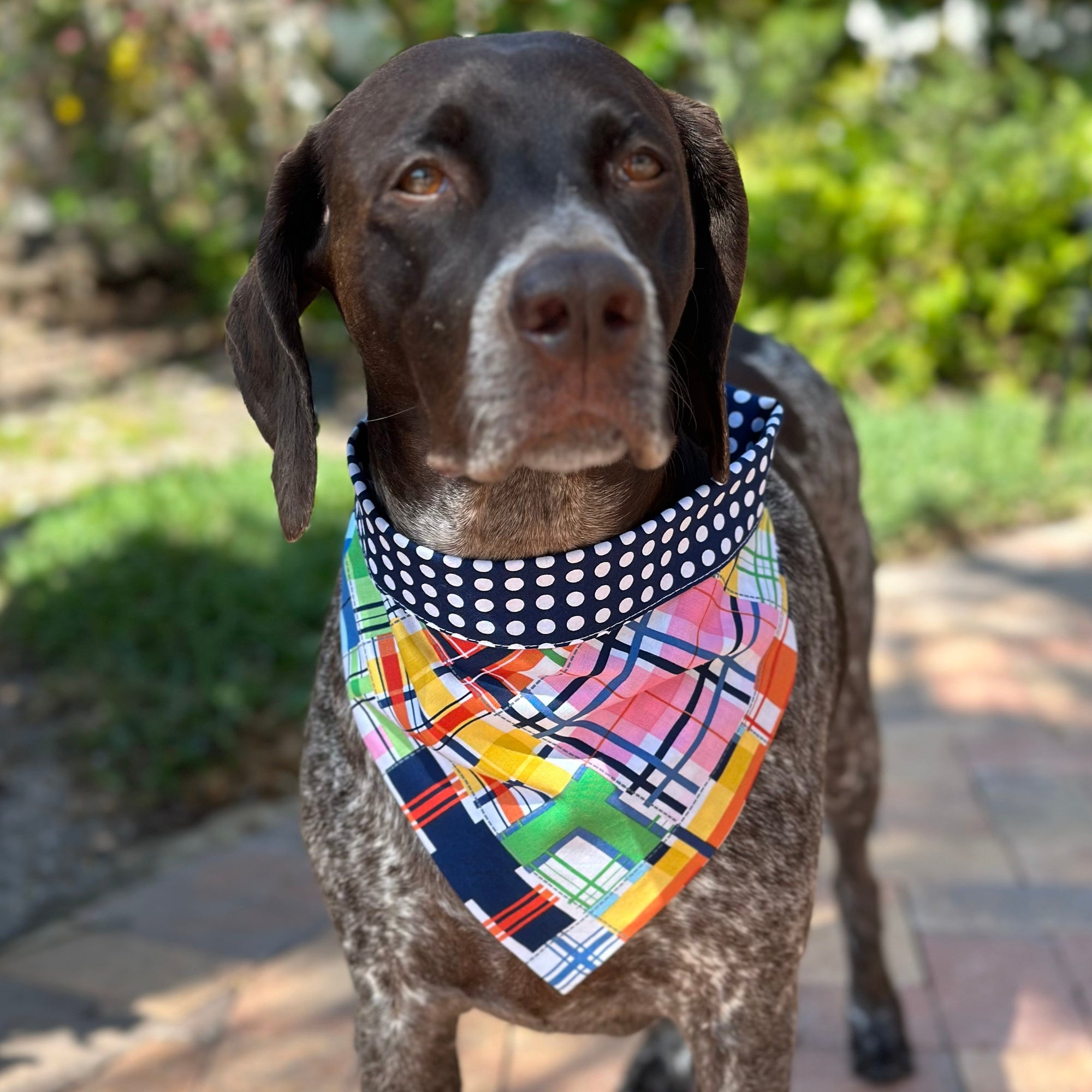 Handmade in the USA by Chloe & Max, this Madras Bandana features bright colorful plaid, with blue and white polka dot trim and backing. 