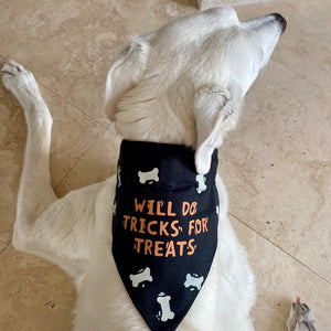 "Will Do Tricks for Treats" Reversible Large Dog Collar Bandana pictured on a Greyhound.