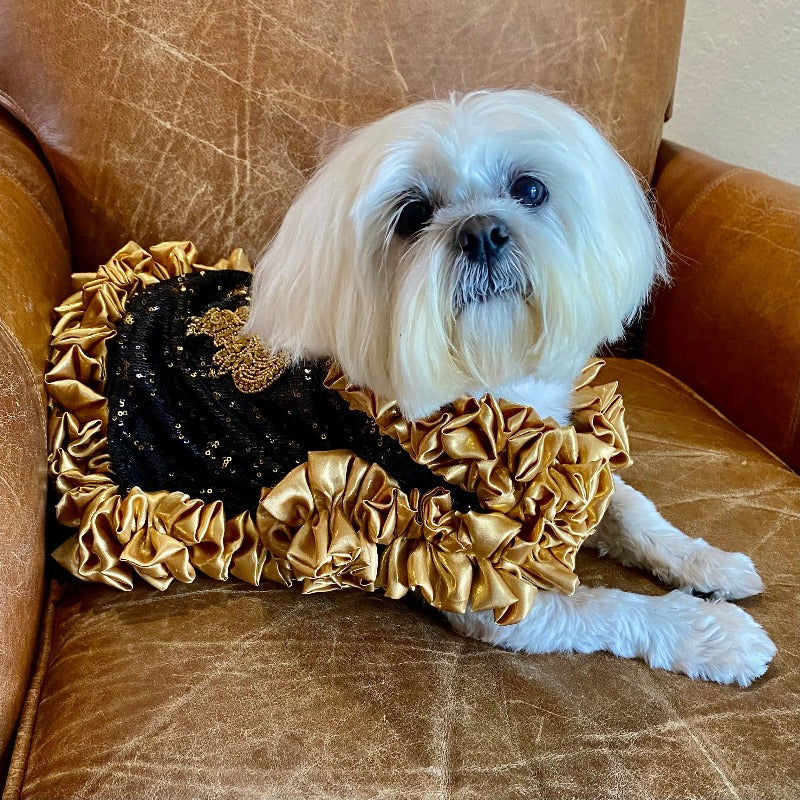 Designed exclusively for Posh Dog Life, this handmade “Cleopatra” dog party dress is fit for a queen.