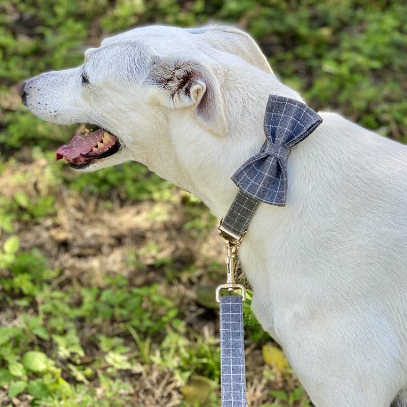 Classic Gray Check Bow Tie Collar & Leash | Personalized Free