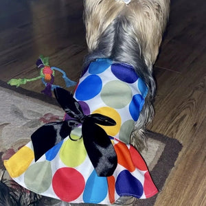 Designed for small dogs, this colorful Confetti Dots Dog Party Dress is perfect for summer and holiday parties.