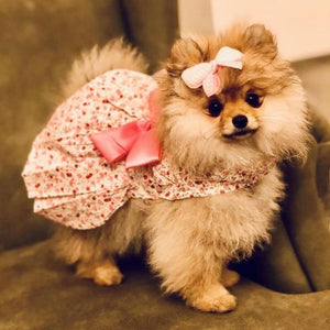 Designed for small dogs, this Dainty Floral Blossoms Dog Dress is a wardrobe winner.