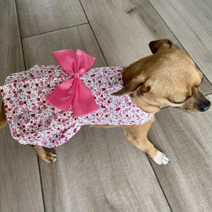 A large bow adorns this comfy cotton floral dog dress.