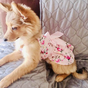 Pups weighing up to 4 lbs. look darling in this Cottage Rose Cotton Dress.