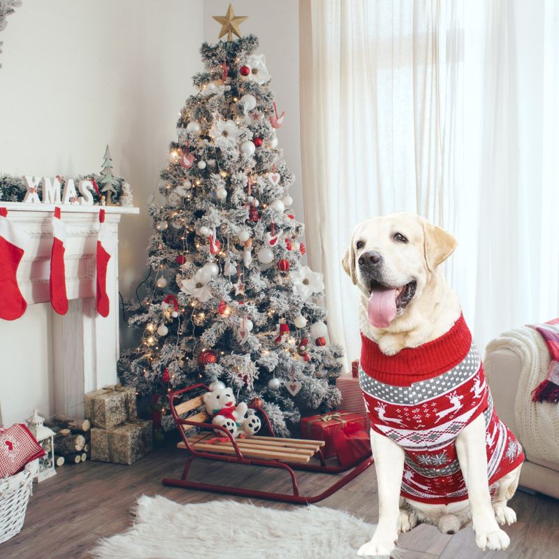 Classic Deer Print Big Dog Sweater is red with white reindeer and gray snowflake patterns.
