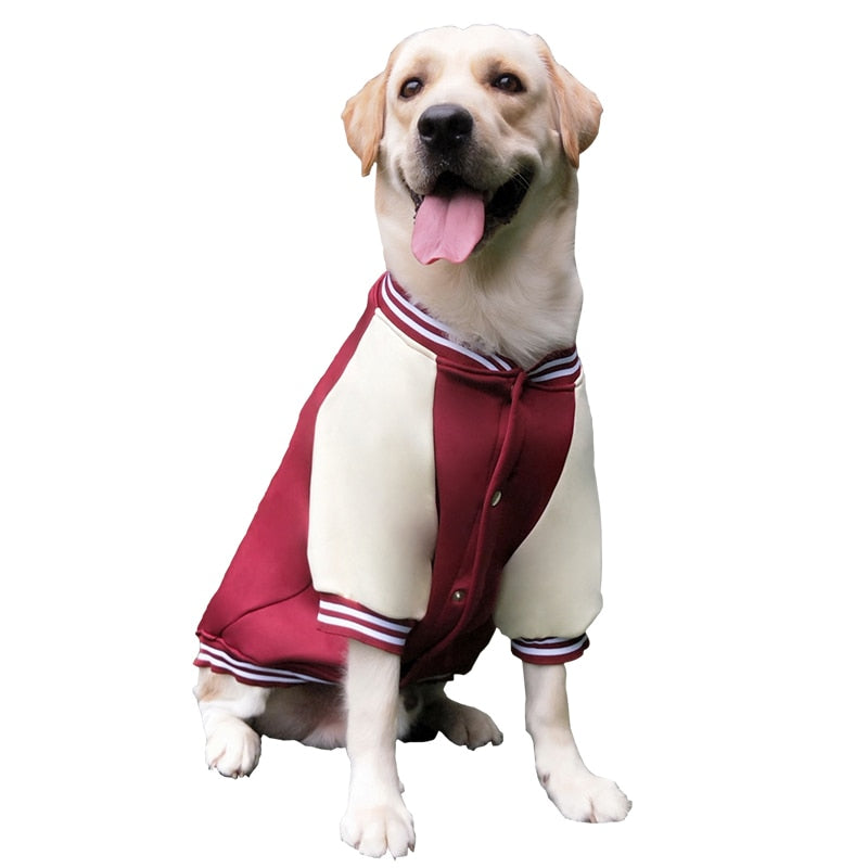 This sporty Large Dog Varsity Player Jacket will keep your athletic dog warm all fall and winter. 