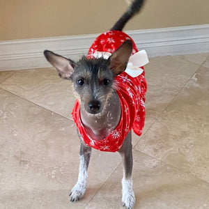 This red Christmas Snowflake Dog Party Dress features white snowflakes and a white satin bow for small to medium dogs.