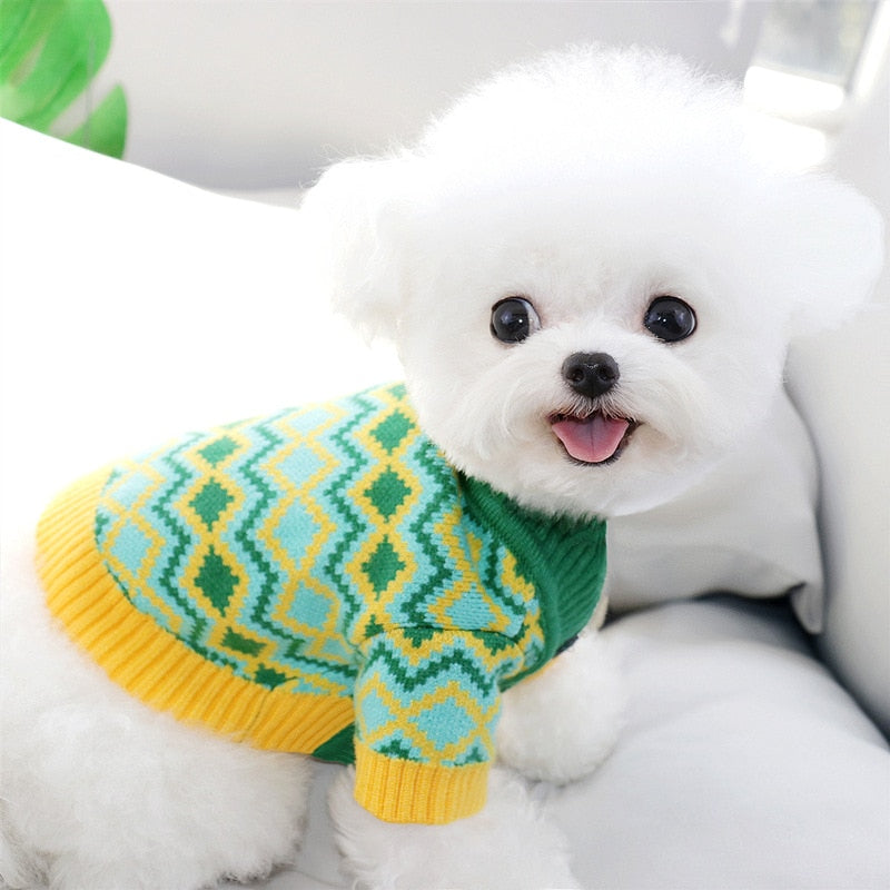 This bright Green & Yellow Zig Zag Button-Down Dog Cardigan is a great addition to your buddy's wardrobe. 