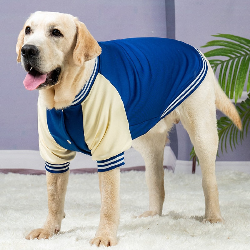 This sporty Large Dog Varsity Player Jacket will keep your athletic dog warm all fall and winter. 