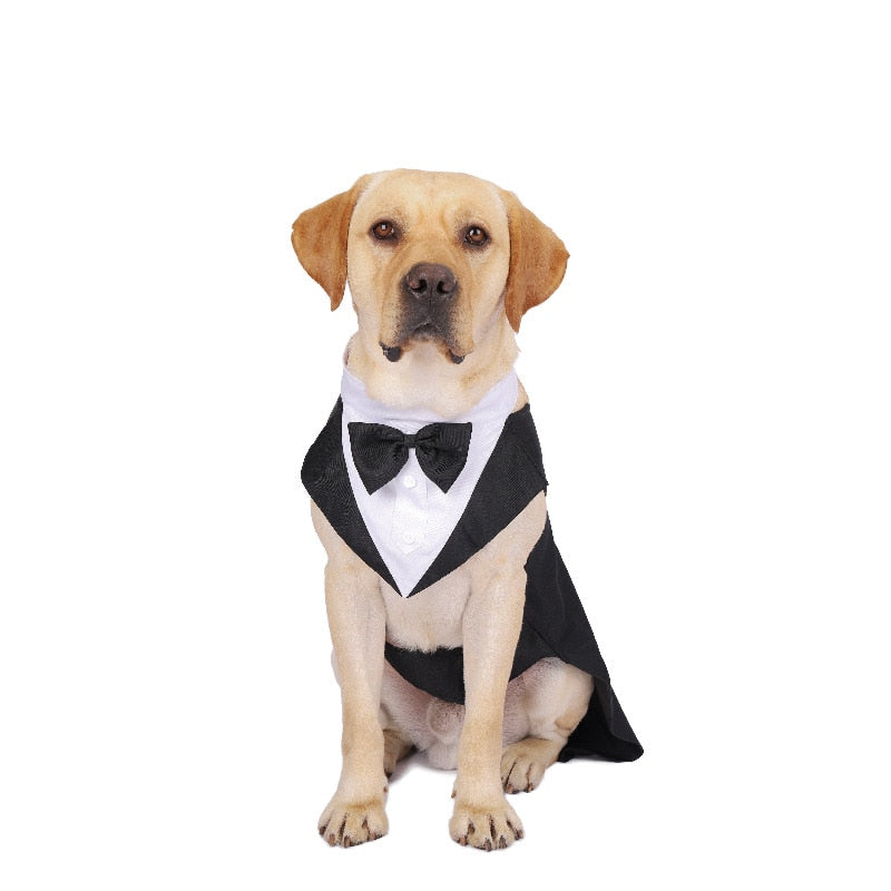 Your pal will look dashing in this luxurious Classic Bow Tie Large Dog Tuxedo, designed for medium and large dogs.