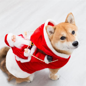 This Santa Reindeer Dog Suit fits medium to large dogs.