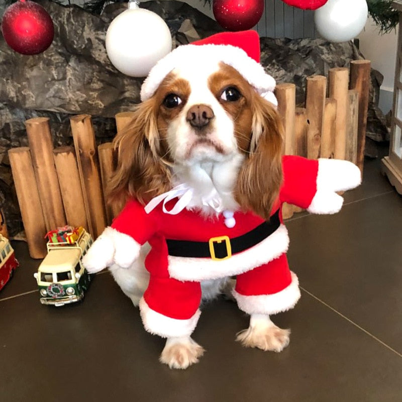 Ridiculously cute, this Santa Dog Suit is perfect for holiday parties and cosplay.