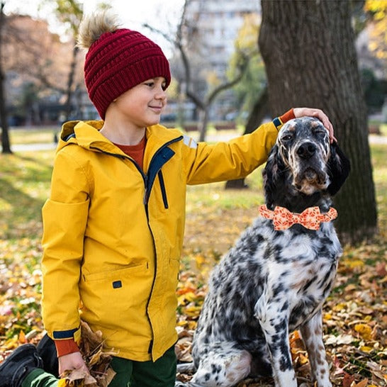 Football Fan Bow Tie Dog Collar