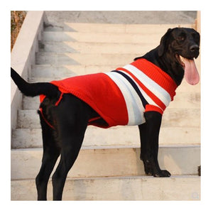 Red Large Dog Preppy Striped Sweater fits Black Labs.