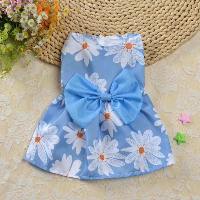 Daisy Dog Dress is blue with matching blue bow.