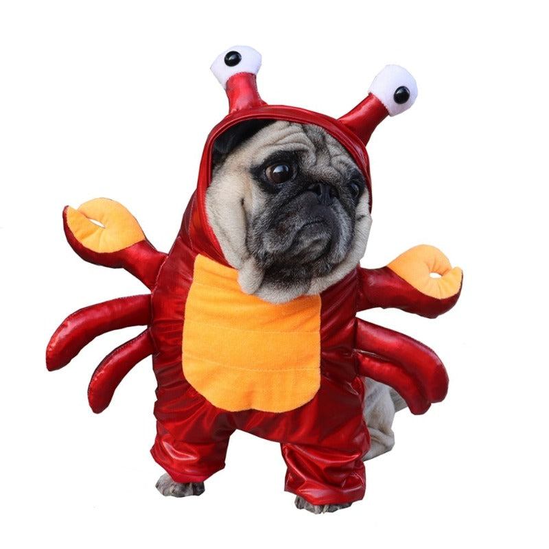 Pug wearing Red Crab Halloween Costume