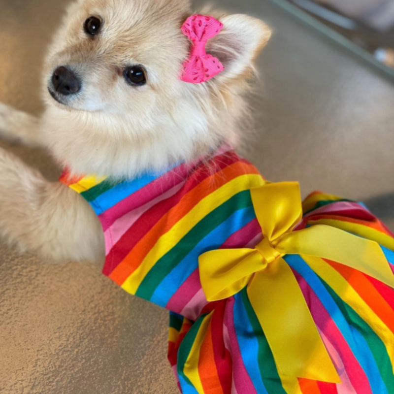 Rainbow Stripes Dog Party Dress is perfect for small breed dogs for weddings, birthdays, photoshoots and festive occasions.