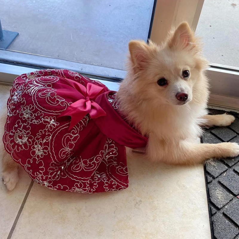 Your fur baby will look like a princess in this luxurious Red Lace Embroidered Dog Party Dress, crafted with sequins using the finest workmanship.