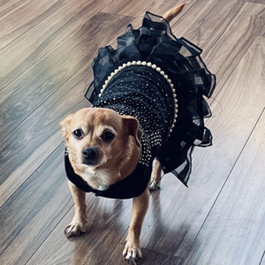 Exquisitely crafted with lace, tulle, faux pearls and bling beading, this elegant Bling Black Dog Party Dress is designed for small breeds.