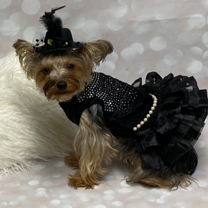 Bling Black Dog Party Dress is perfect for parties, weddings, anniversaries, birthdays and photoshoots. 