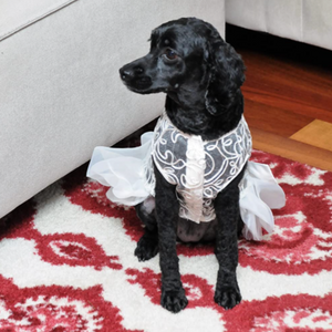 Small dog breeds look stunning in this Luxurious White Lace Dog Wedding Dress.