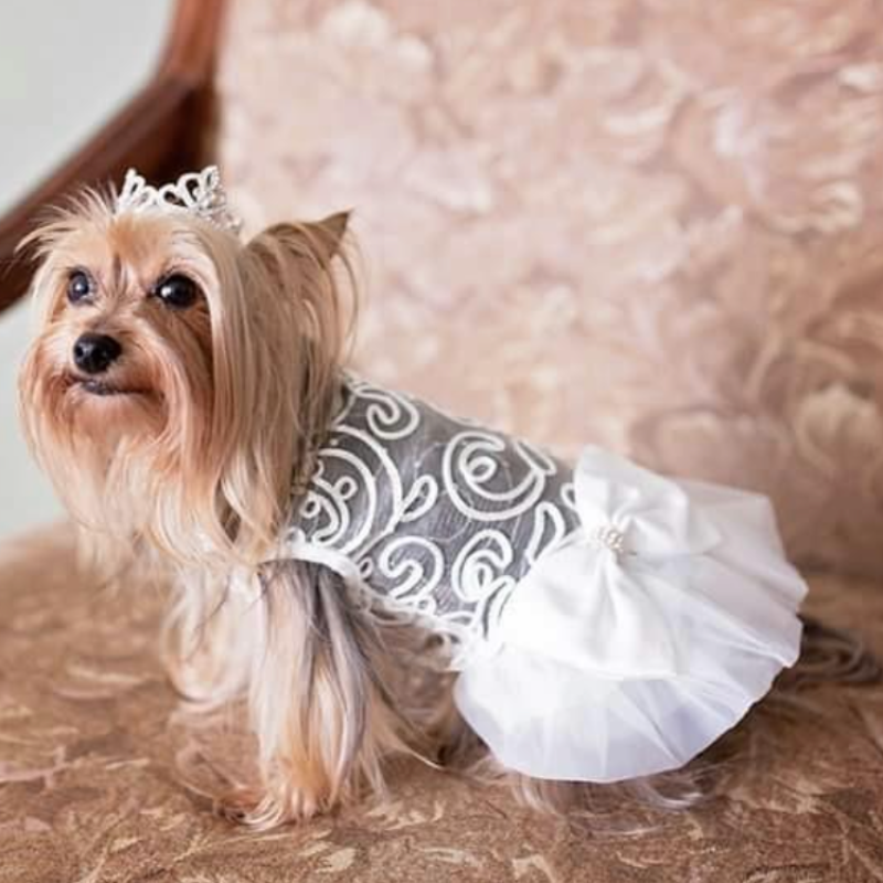 Your little doggy princess will be the belle of the ball with this Luxurious White Lace Dog Wedding Dress, delicately crafted with lace, sequins and faux pearls.