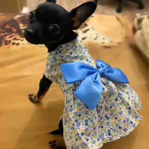 Chihuahuas look darling in this Dainty Floral Blossoms Dog Dress in blue.