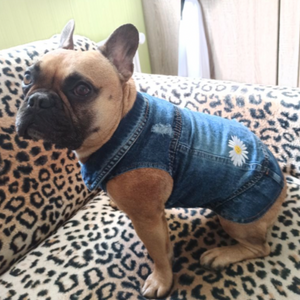 Embroidered with daisies, this lightweight stylish jean vest comes in XS-2XL for small dogs, including Chihuahua, Yorkshire Terrier, Shih Tzu, French Bulldog, Toy Poodles and puppies.