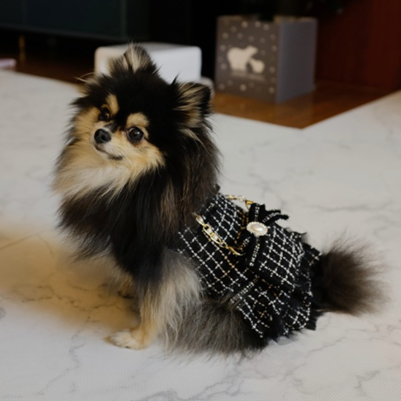 Elegant and chic, this Designer Black Tweed Fashionista Dog Dress is a showstopper.