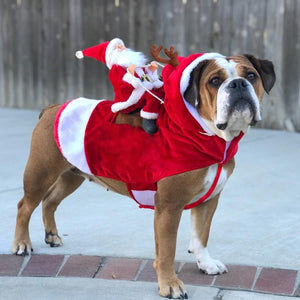 This Santa Reindeer Dog Suit is perfect for holiday parties and cosplay.