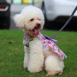 This sweet Purple Bow Floral Dog Dress is made of 100% cotton and fits small dog breeds, like this Toy Poodle.