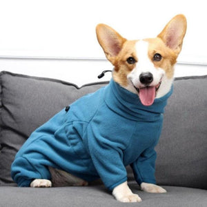 Fits Corgis and large dogs like Dobermans and Labs.