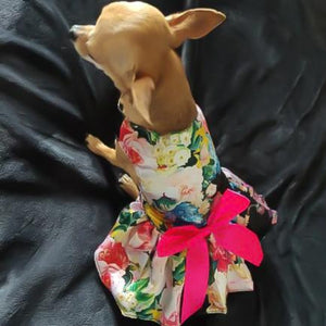 Black Floral Dog Party Dress is perfect for small dogs like Chihuahuas.