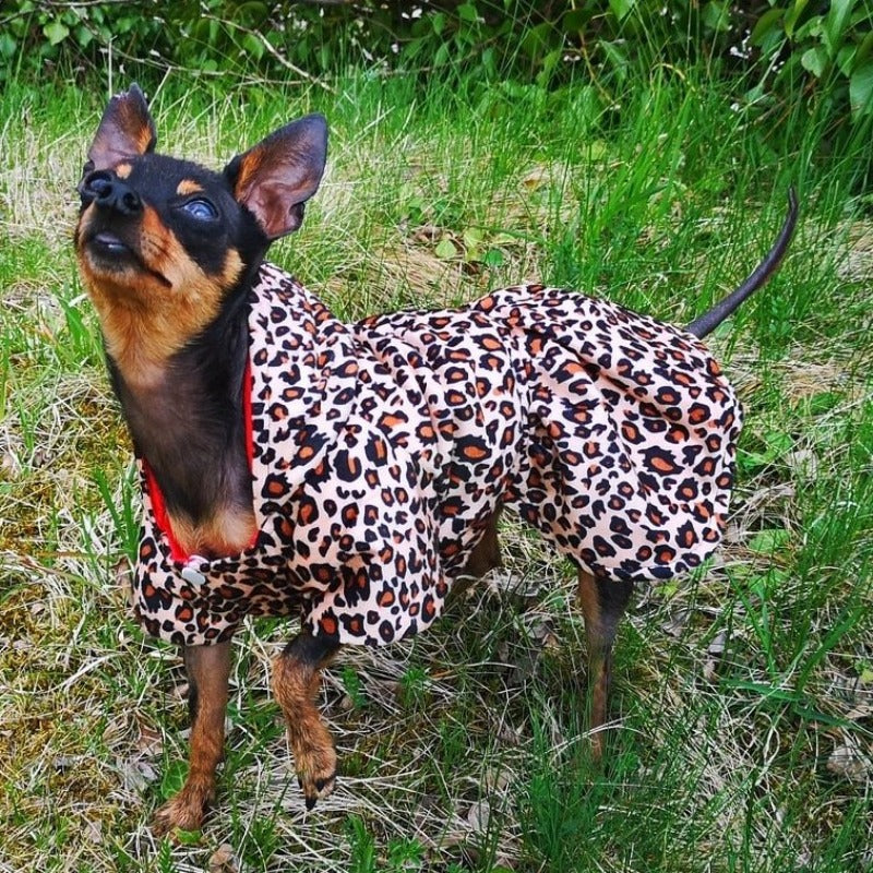 Your dog diva will look simply darling in this Reversible Red Leopard Hooded Dog Coat.
