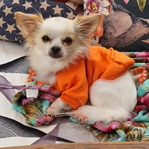 Orange Sporty Dog Hoodies Sweatshirt fits small dogs.