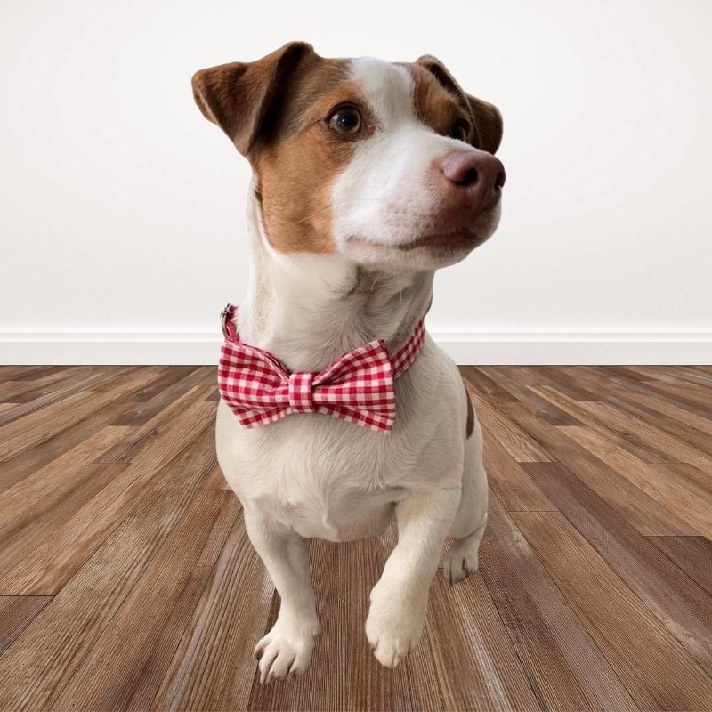 Our Red Gingham Plaid Bow Tie Dollar Collar & Leash Set is among our best sellers.
