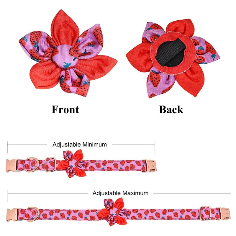 Damson Strawberry Thief Fabric Cat Collar With Bird, Flower + Leaf Print –  Bells & Whiskers Fabric Collars, Leads, Harnesses For Cats & Dogs