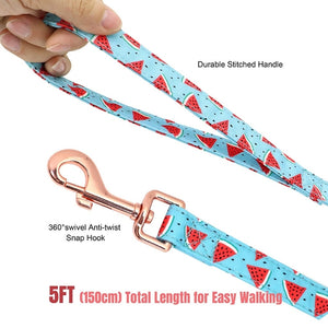 Watermelon Harness Set includes a matching 5 ft leash.