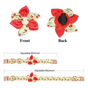 Adjustable collar comes with a removable flower.
