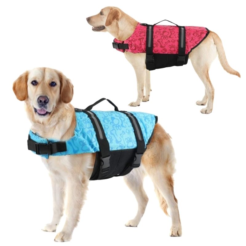 Our Paws & Bones Dog Life Jackets are suitable for small, medium and large dogs.